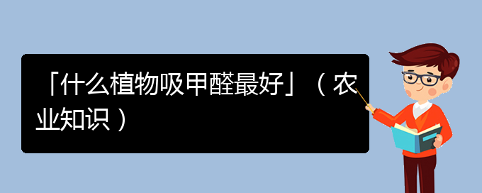 「什么植物吸甲醛最好」（农业知识）