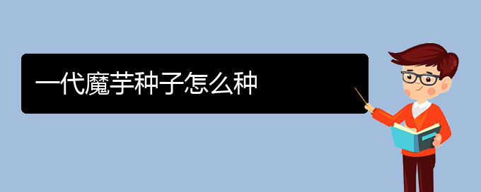 一代魔芋种子怎么种