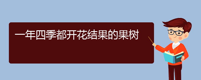 一年四季都开花结果的果树