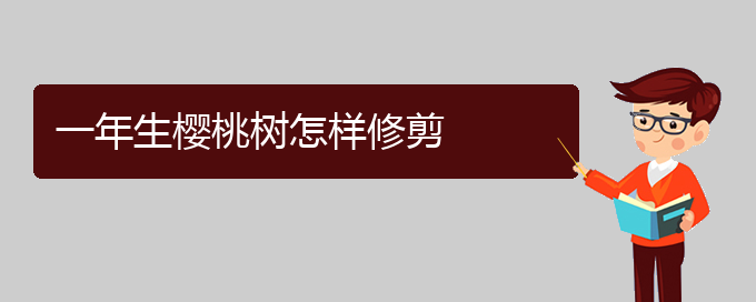 一年生樱桃树怎样修剪