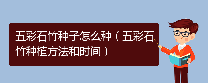 五彩石竹种子怎么种（五彩石竹种植方法和时间）