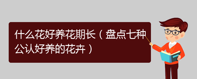 什么花好养花期长（盘点七种公认好养的花卉）