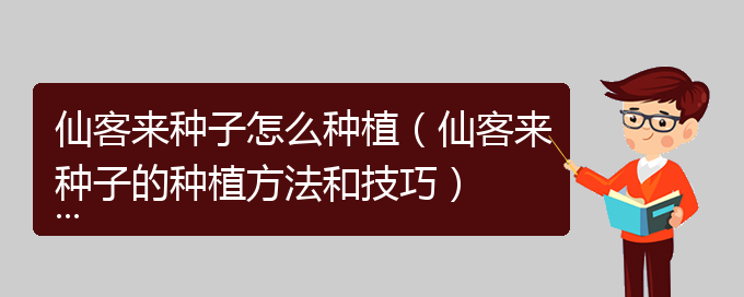 仙客来种子怎么种植（仙客来种子的种植方法和技巧）