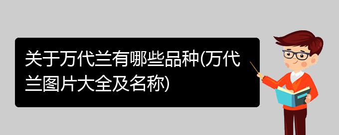 关于万代兰有哪些品种(万代兰图片大全及名称)