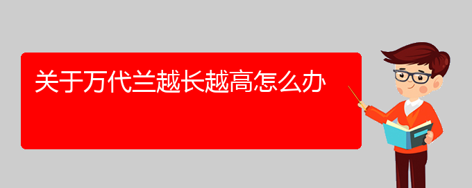 关于万代兰越长越高怎么办