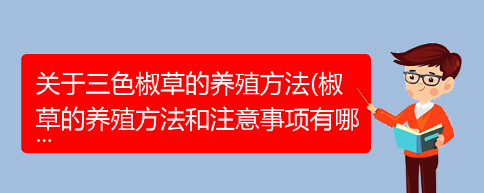 关于三色椒草的养殖方法(椒草的养殖方法和注意事项有哪些)