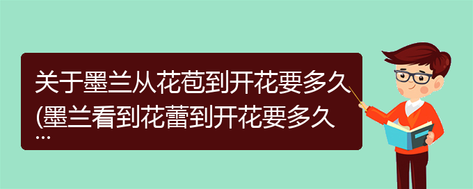 关于墨兰从花苞到开花要多久(墨兰看到花蕾到开花要多久)