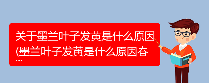 关于墨兰叶子发黄是什么原因(墨兰叶子发黄是什么原因春兰)