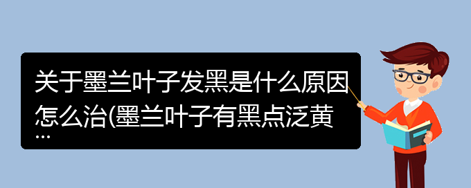 关于墨兰叶子发黑是什么原因怎么治(墨兰叶子有黑点泛黄怎么处理)