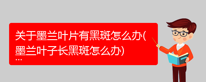 关于墨兰叶片有黑斑怎么办(墨兰叶子长黑斑怎么办)