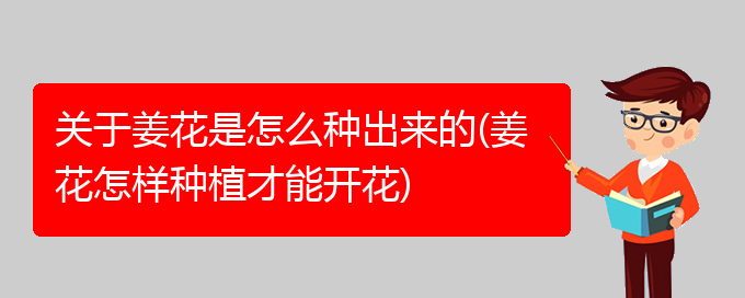 关于姜花是怎么种出来的(姜花怎样种植才能开花)