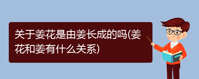 关于姜花是由姜长成的吗(姜花和姜有什么关系)