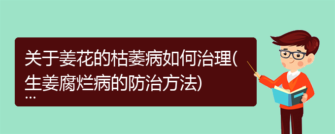 关于姜花的枯萎病如何治理(生姜腐烂病的防治方法)