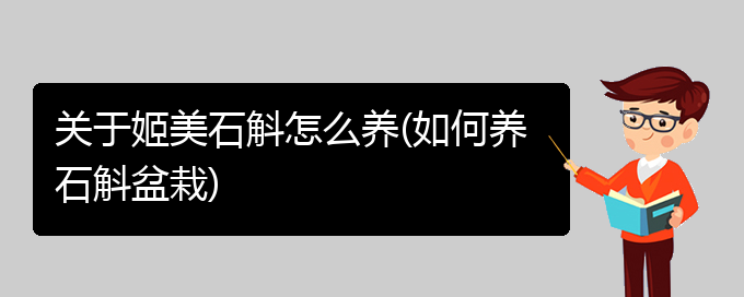 关于姬美石斛怎么养(如何养石斛盆栽)