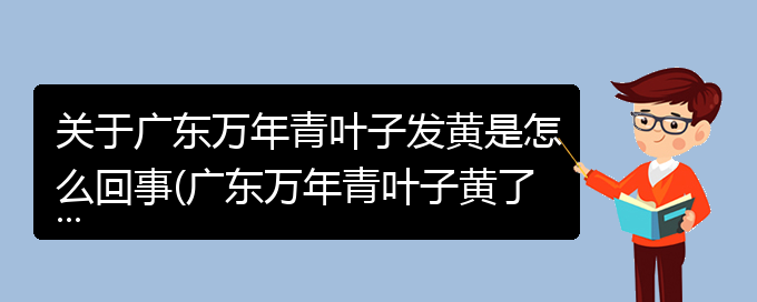 关于广东万年青叶子发黄是怎么回事(广东万年青叶子黄了怎么办)