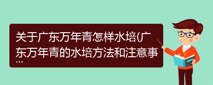 关于广东万年青怎样水培(广东万年青的水培方法和注意事项)