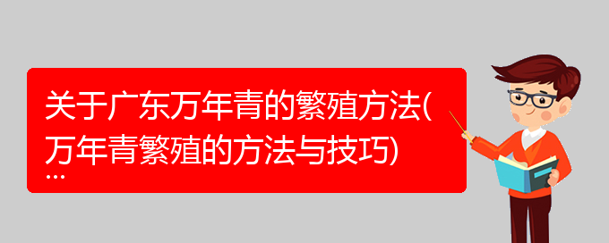 关于广东万年青的繁殖方法(万年青繁殖的方法与技巧)