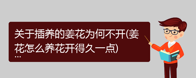 关于插养的姜花为何不开(姜花怎么养花开得久一点)