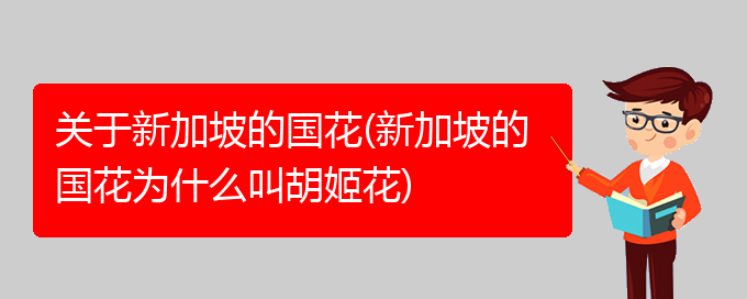 关于新加坡的国花(新加坡的国花为什么叫胡姬花)