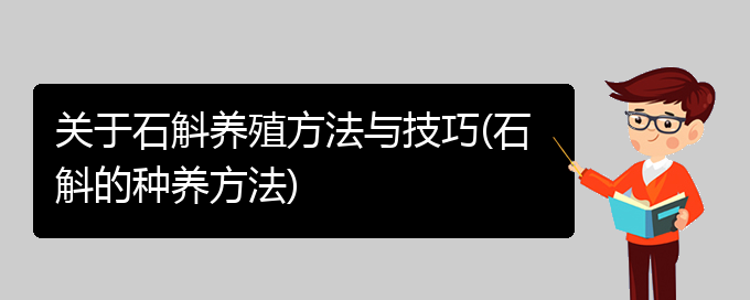 关于石斛养殖方法与技巧(石斛的种养方法)