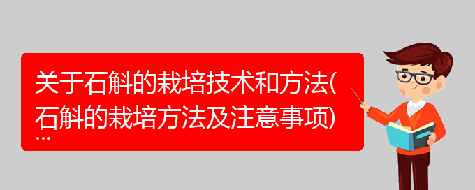 关于石斛的栽培技术和方法(石斛的栽培方法及注意事项)