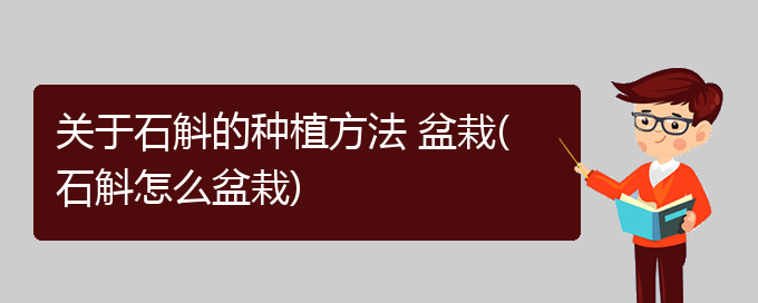 关于石斛的种植方法 盆栽(石斛怎么盆栽)