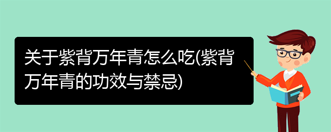 关于紫背万年青怎么吃(紫背万年青的功效与禁忌)