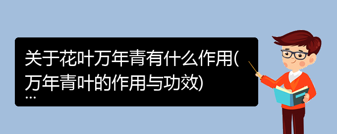 关于花叶万年青有什么作用(万年青叶的作用与功效)