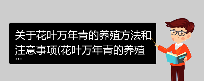 关于花叶万年青的养殖方法和注意事项(花叶万年青的养殖方法和注意事项蟹爪兰)