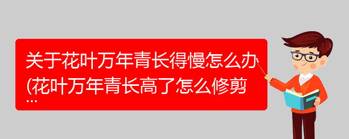 关于花叶万年青长得慢怎么办(花叶万年青长高了怎么修剪)