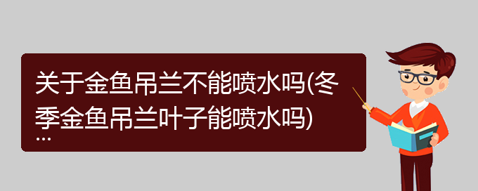 关于金鱼吊兰不能喷水吗(冬季金鱼吊兰叶子能喷水吗)