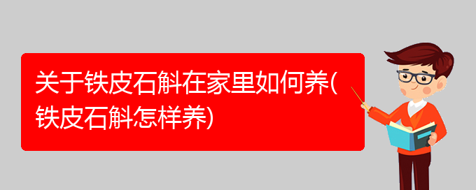 关于铁皮石斛在家里如何养(铁皮石斛怎样养)