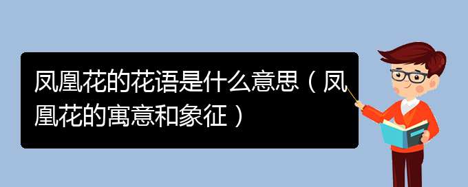 凤凰花的花语是什么意思（凤凰花的寓意和象征）