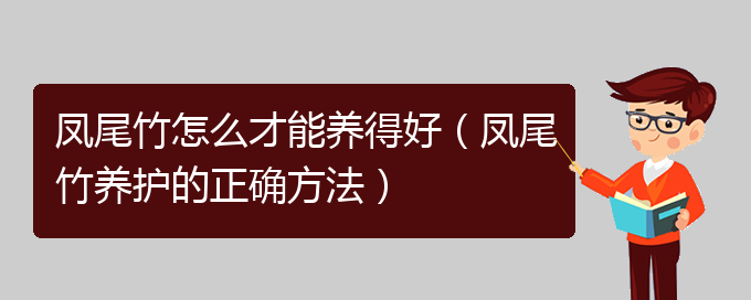 凤尾竹怎么才能养得好（凤尾竹养护的正确方法）