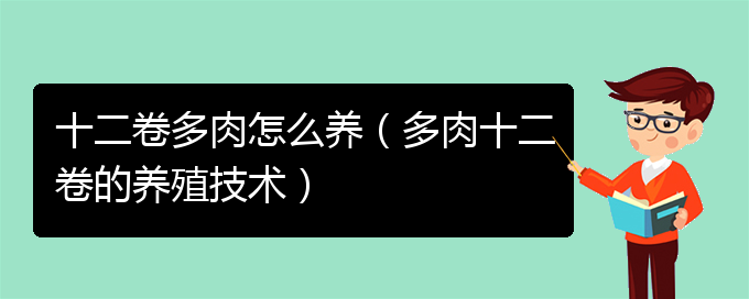 十二卷多肉怎么养（多肉十二卷的养殖技术）