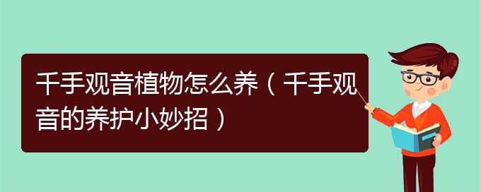 千手观音植物怎么养（千手观音的养护小妙招）