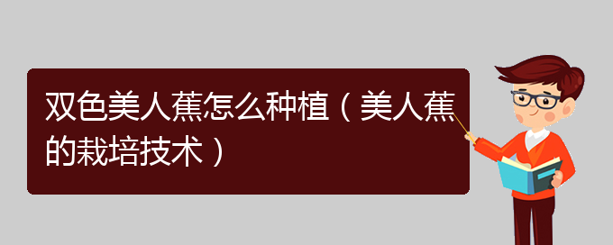 双色美人蕉怎么种植（美人蕉的栽培技术）