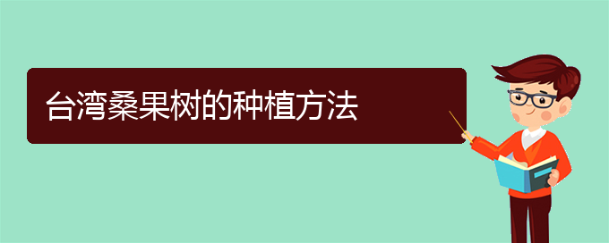 台湾桑果树的种植方法