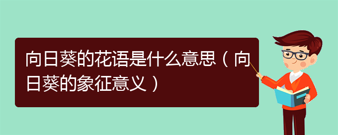 向日葵的花语是什么意思（向日葵的象征意义）