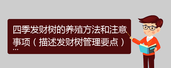 四季发财树的养殖方法和注意事项（描述发财树管理要点）