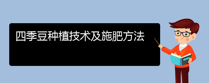 四季豆种植技术及施肥方法