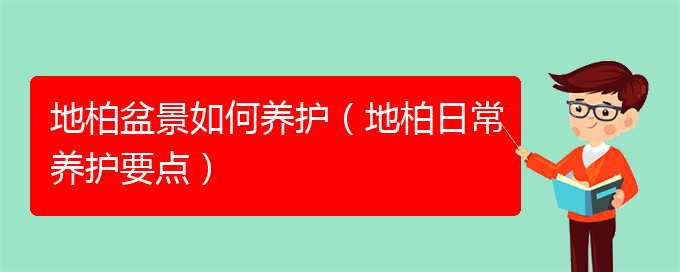 地柏盆景如何养护（地柏日常养护要点）