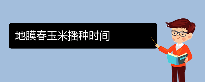 地膜春玉米播种时间