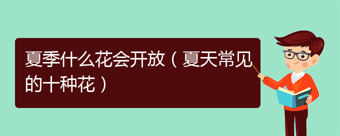 夏季什么花会开放（夏天常见的十种花）