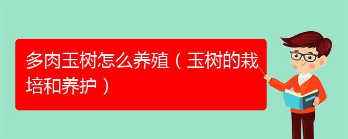 多肉玉树怎么养殖（玉树的栽培和养护）