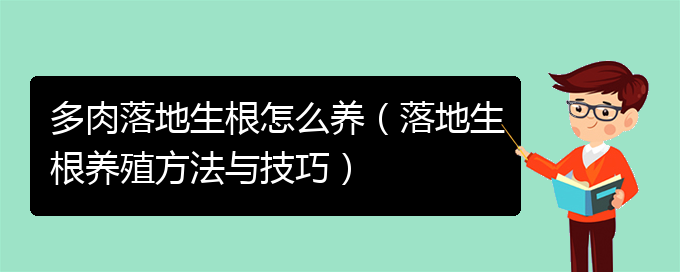 多肉落地生根怎么养（落地生根养殖方法与技巧）