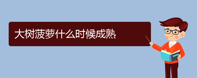 大树菠萝什么时候成熟