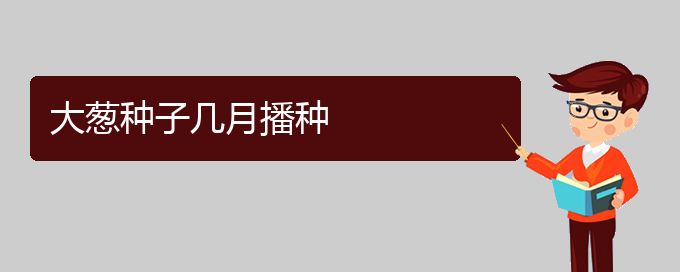 大葱种子几月播种