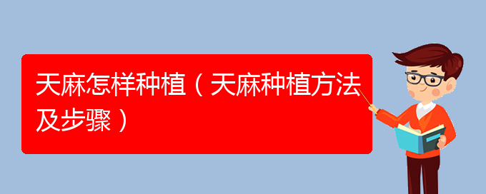 天麻怎样种植（天麻种植方法及步骤）