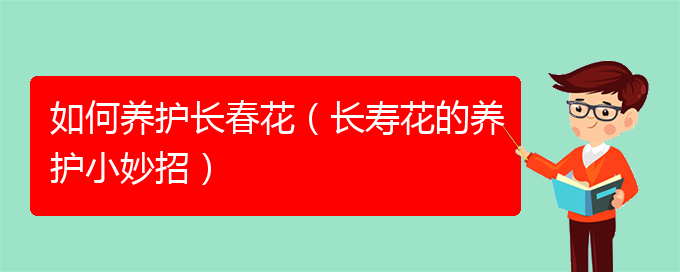 如何养护长春花（长寿花的养护小妙招）